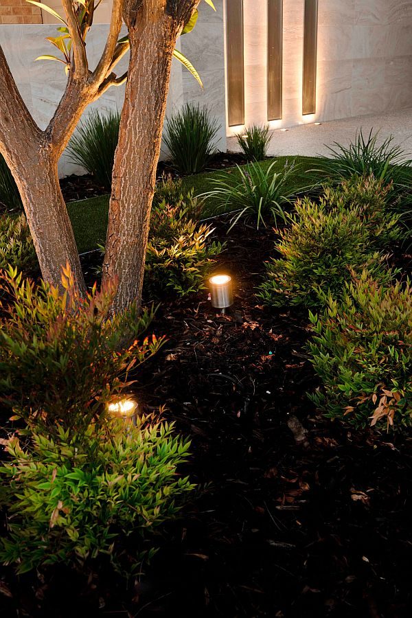 Twig Light - Hunza Outdoor Lighting